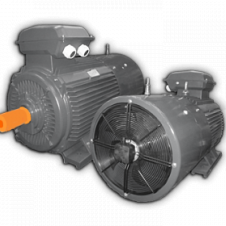 250/1500 АДЧР 355S4У2 исп 1081 эл. двигатель